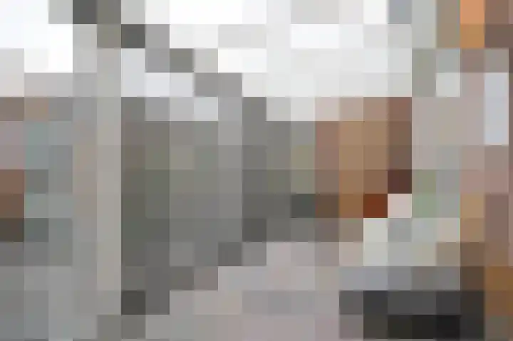 J.E.S. Holthausstraat 2 Rossum thumbnail 20