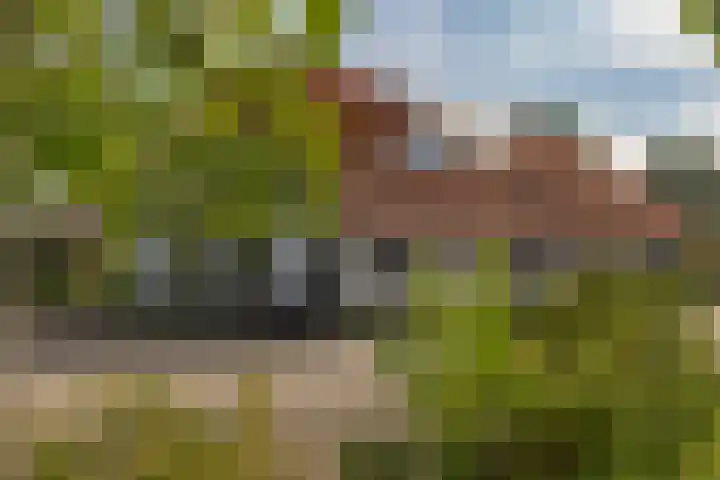 J. Evertsenstraat 10 Wierden thumbnail 13