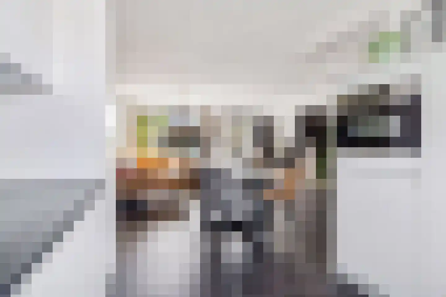 J. Evertsenstraat 10 Wierden thumbnail 14