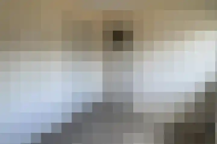 J. Evertsenstraat 10 Wierden thumbnail 19