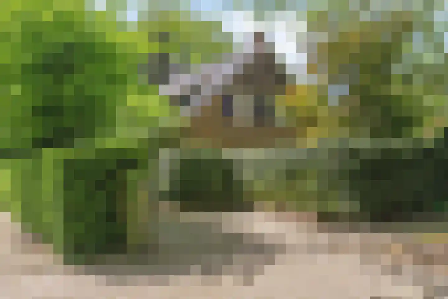 J. Evertsenstraat 10 Wierden thumbnail 28