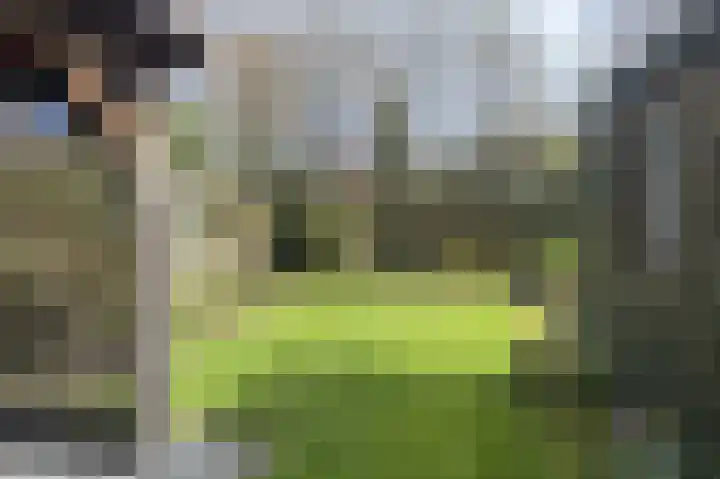 J. Evertsenstraat 10 Wierden thumbnail 28