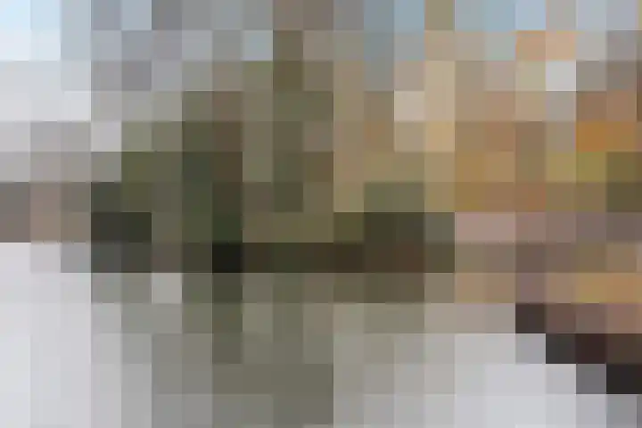 J. Evertsenstraat 10 Wierden thumbnail 6