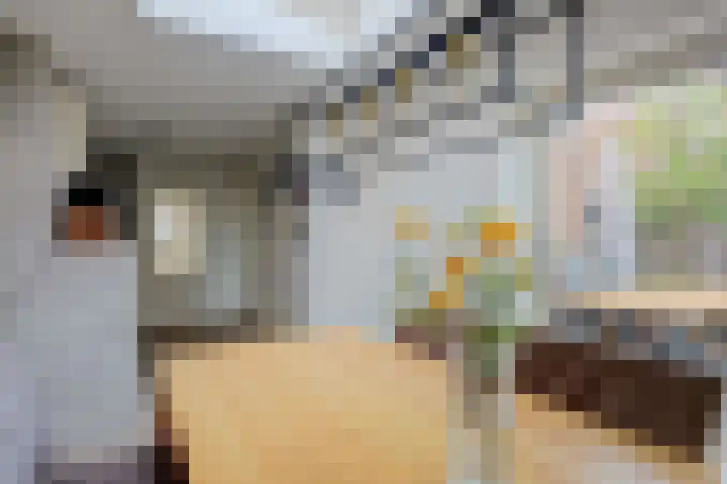 J. Evertsenstraat 11 Wierden thumbnail 17