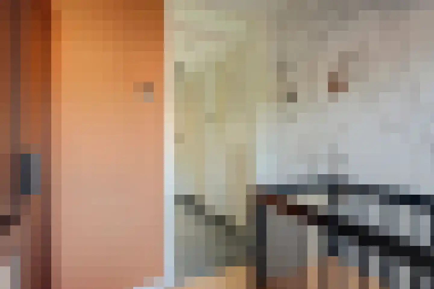 J. Evertsenstraat 11 Wierden thumbnail 28