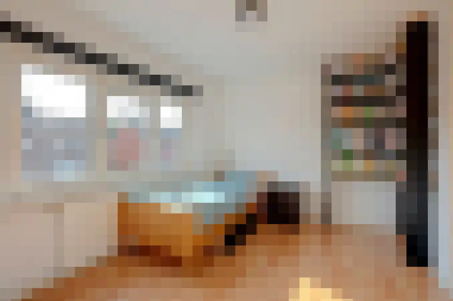 J. Evertsenstraat 11 Wierden thumbnail 30