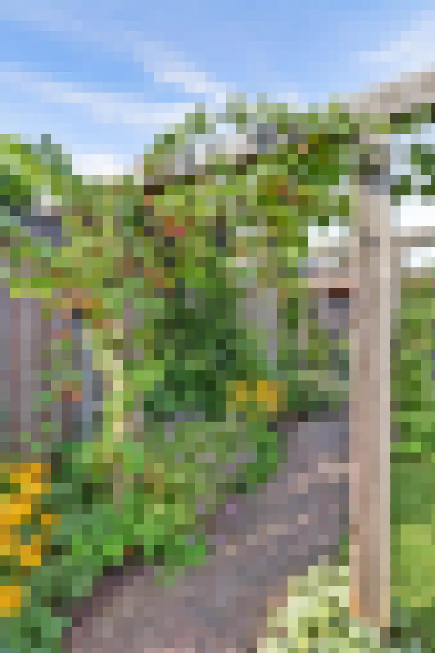 J. Evertsenstraat 11 Wierden thumbnail 35