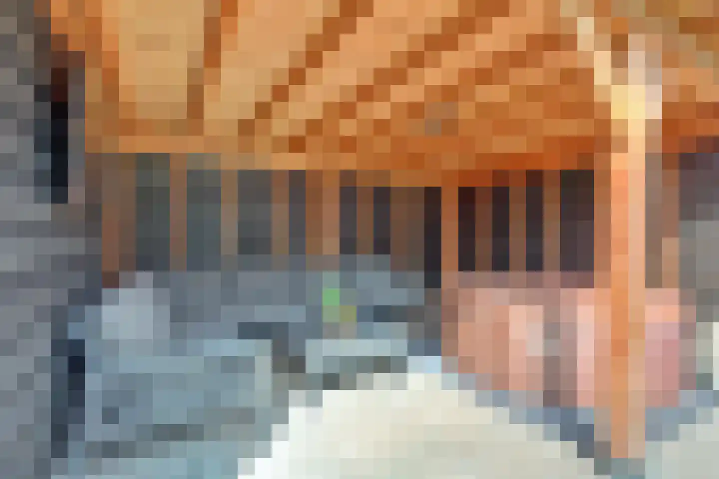 J. Evertsenstraat 11 Wierden thumbnail 38
