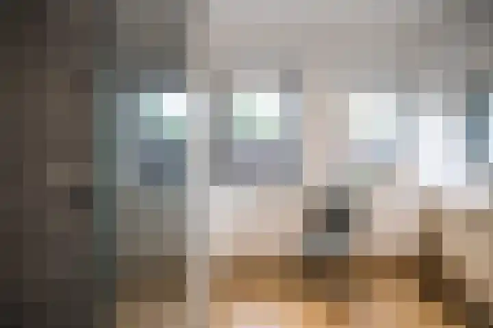 J. Evertsenstraat 38 Wierden thumbnail 22