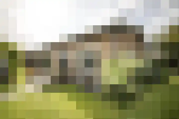J. Evertsenstraat 38 Wierden thumbnail 25