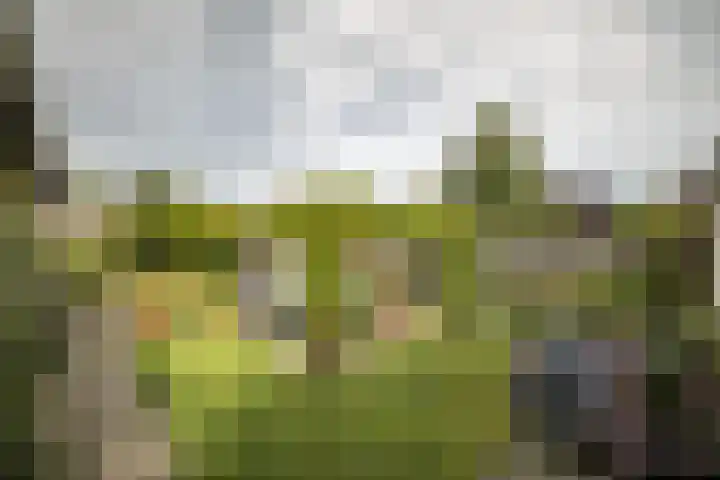 J. Evertsenstraat 38 Wierden thumbnail 28
