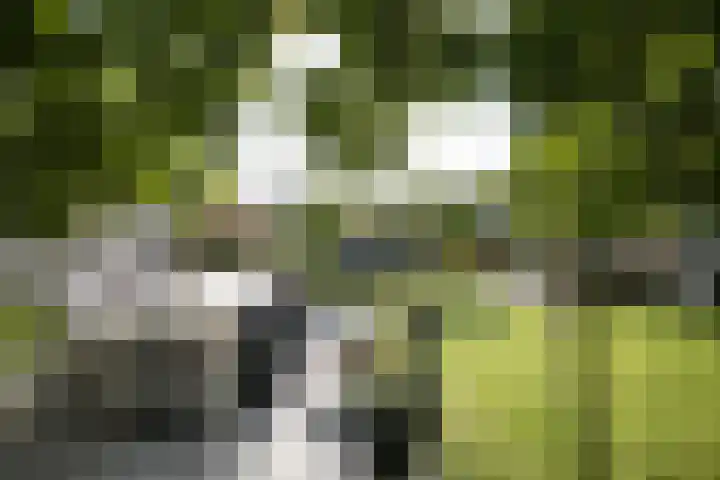 J. Evertsenstraat 38 Wierden thumbnail 30