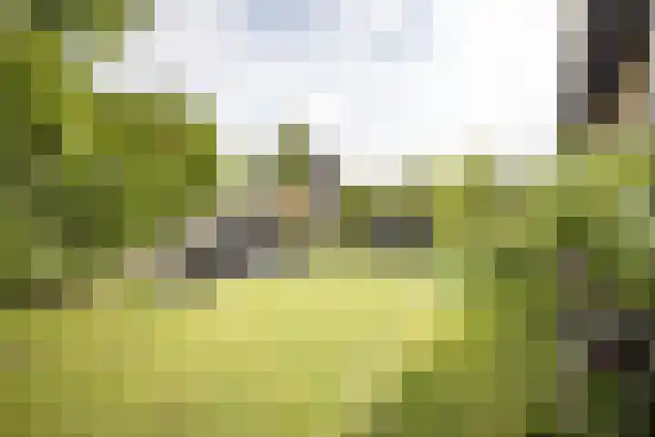 J. Evertsenstraat 38 Wierden thumbnail 31