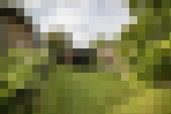 J. Evertsenstraat 38 Wierden thumbnail 32