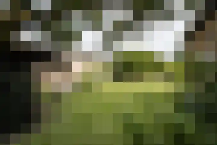 J. Evertsenstraat 38 Wierden thumbnail 33