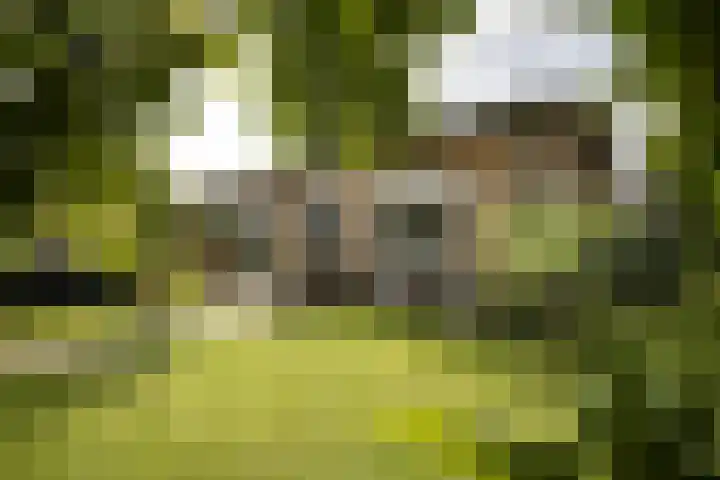 J. Evertsenstraat 38 Wierden thumbnail 34
