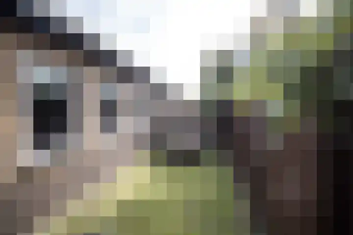 J. Evertsenstraat 38 Wierden thumbnail 35