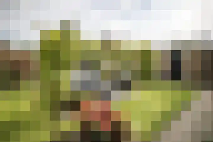 J. Evertsenstraat 38 Wierden thumbnail 4
