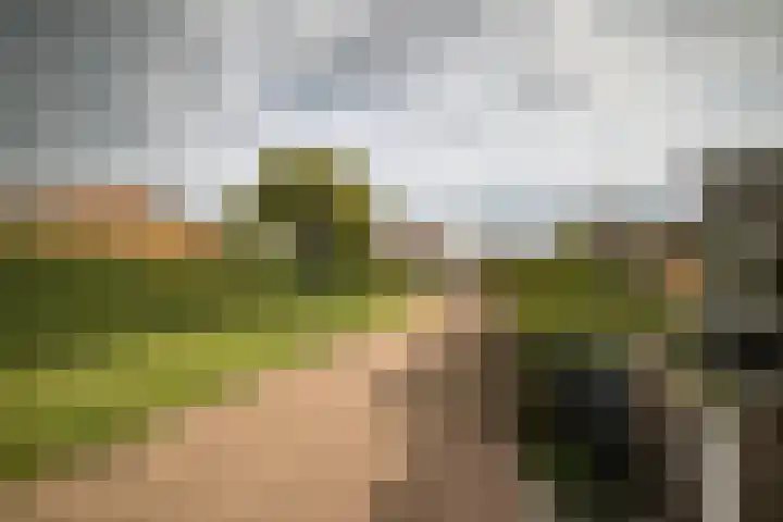 J. Evertsenstraat 38 Wierden thumbnail 5