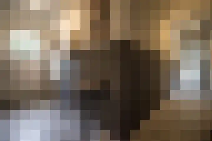 J. Evertsenstraat 38 Wierden thumbnail 8
