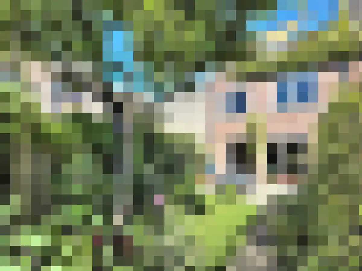 J.F. Berghoefplantsoen 17 Amsterdam thumbnail 6