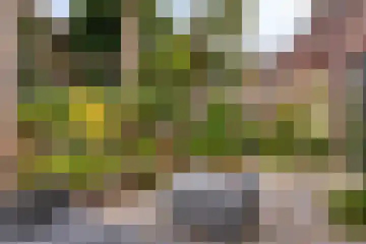 J.F. Berghoefplantsoen 2 Amsterdam thumbnail 38