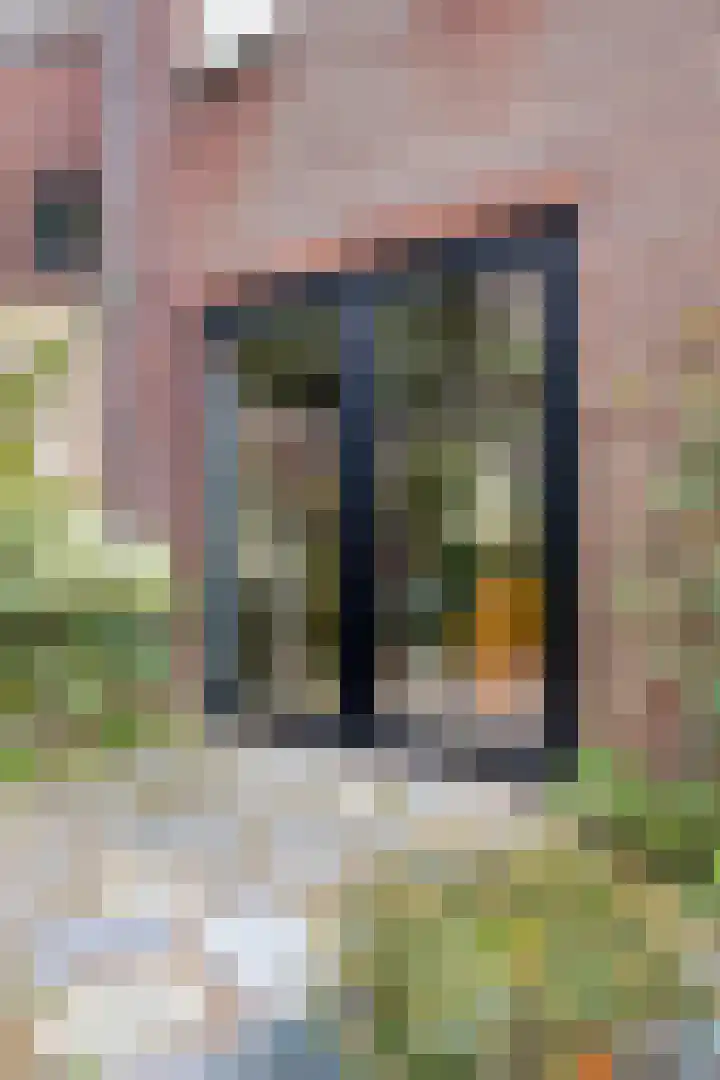 J.F. Berghoefplantsoen 2 Amsterdam thumbnail 40