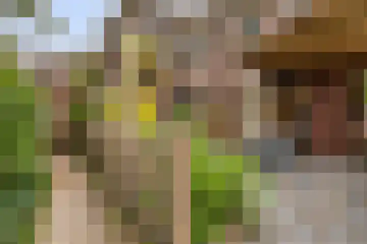 J.F. Berghoefplantsoen 2 Amsterdam thumbnail 42