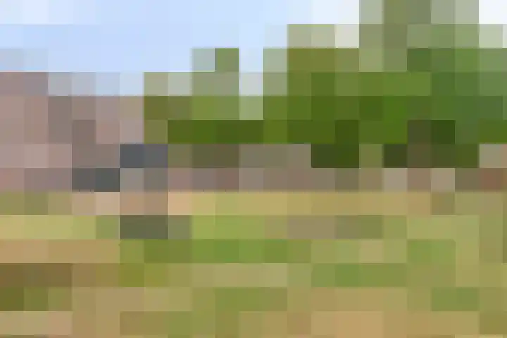 J.F. Berghoefplantsoen 2 Amsterdam thumbnail 45