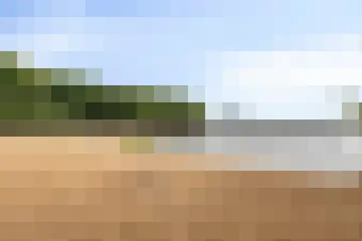J.F. Berghoefplantsoen 2 Amsterdam thumbnail 48
