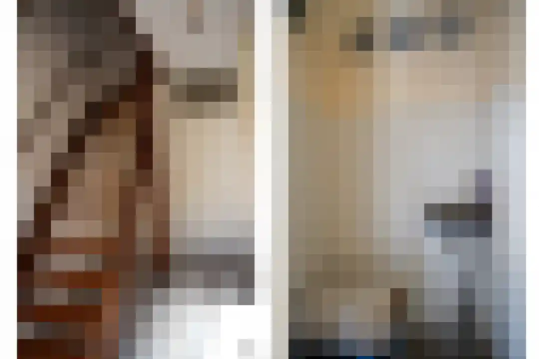J.F. de Millianostraat 2 Breskens thumbnail 13