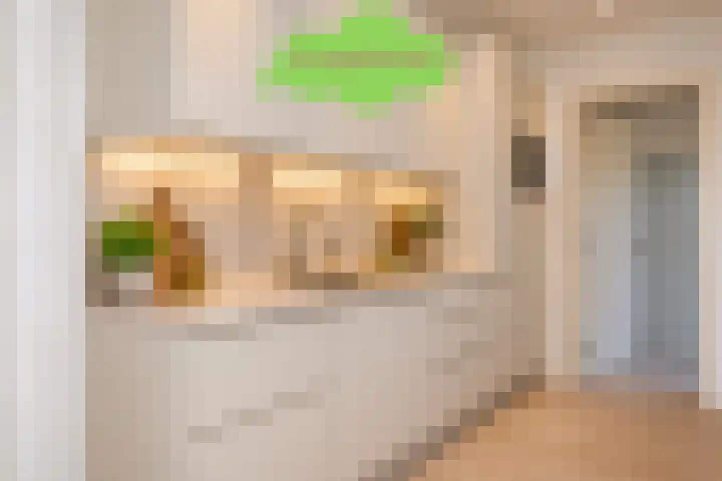 J.F. de Millianostraat 2 Breskens thumbnail 13