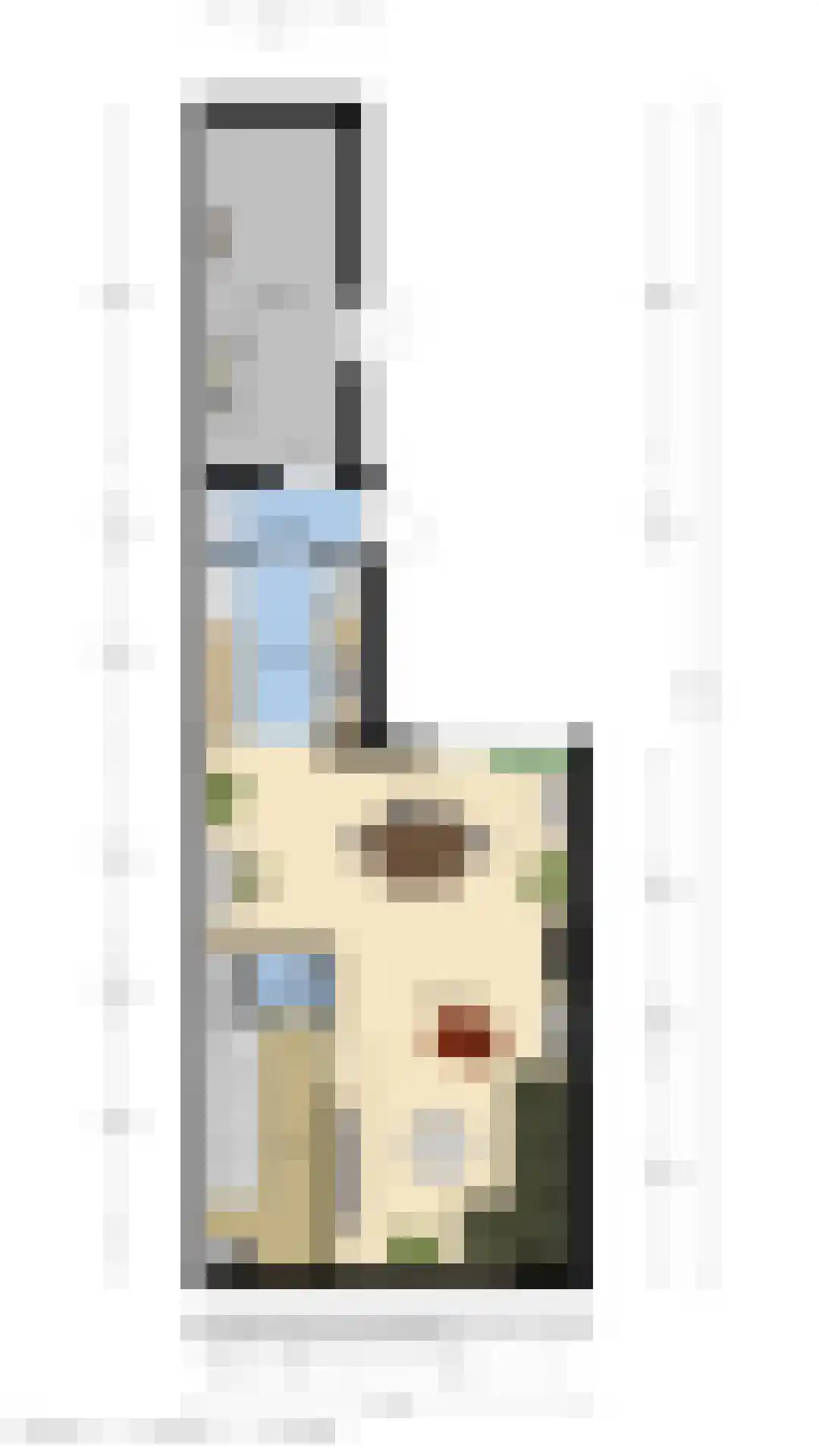 J.F. de Millianostraat 2 Breskens thumbnail 14