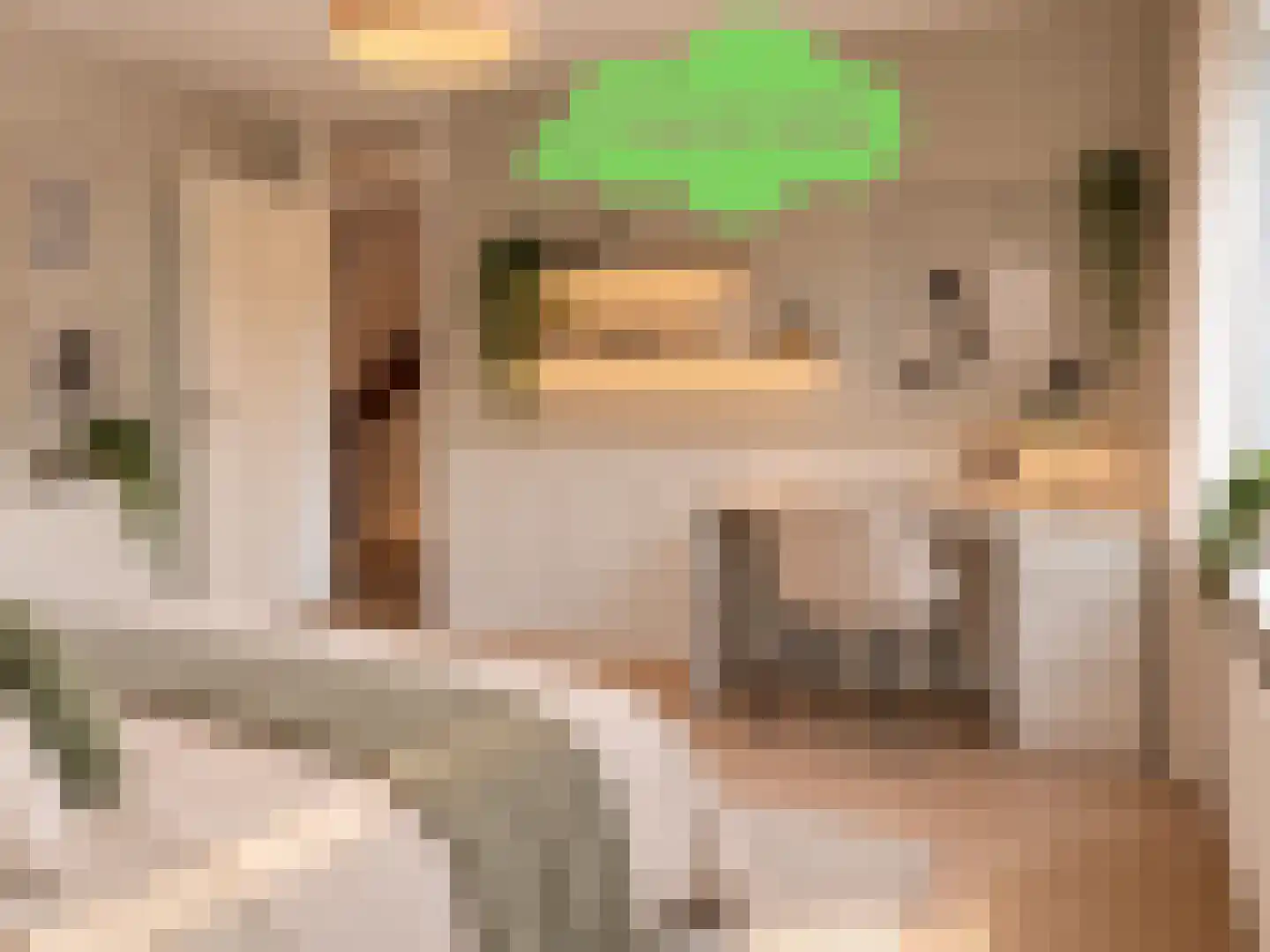 J.F. de Millianostraat 2 Breskens thumbnail 22
