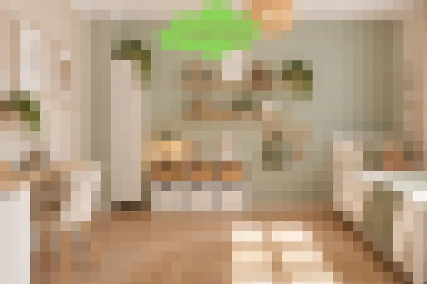 J.F. de Millianostraat 2 Breskens thumbnail 28
