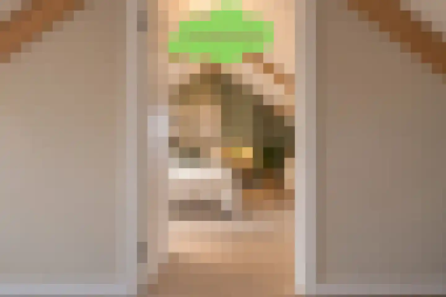 J.F. de Millianostraat 2 Breskens thumbnail 34