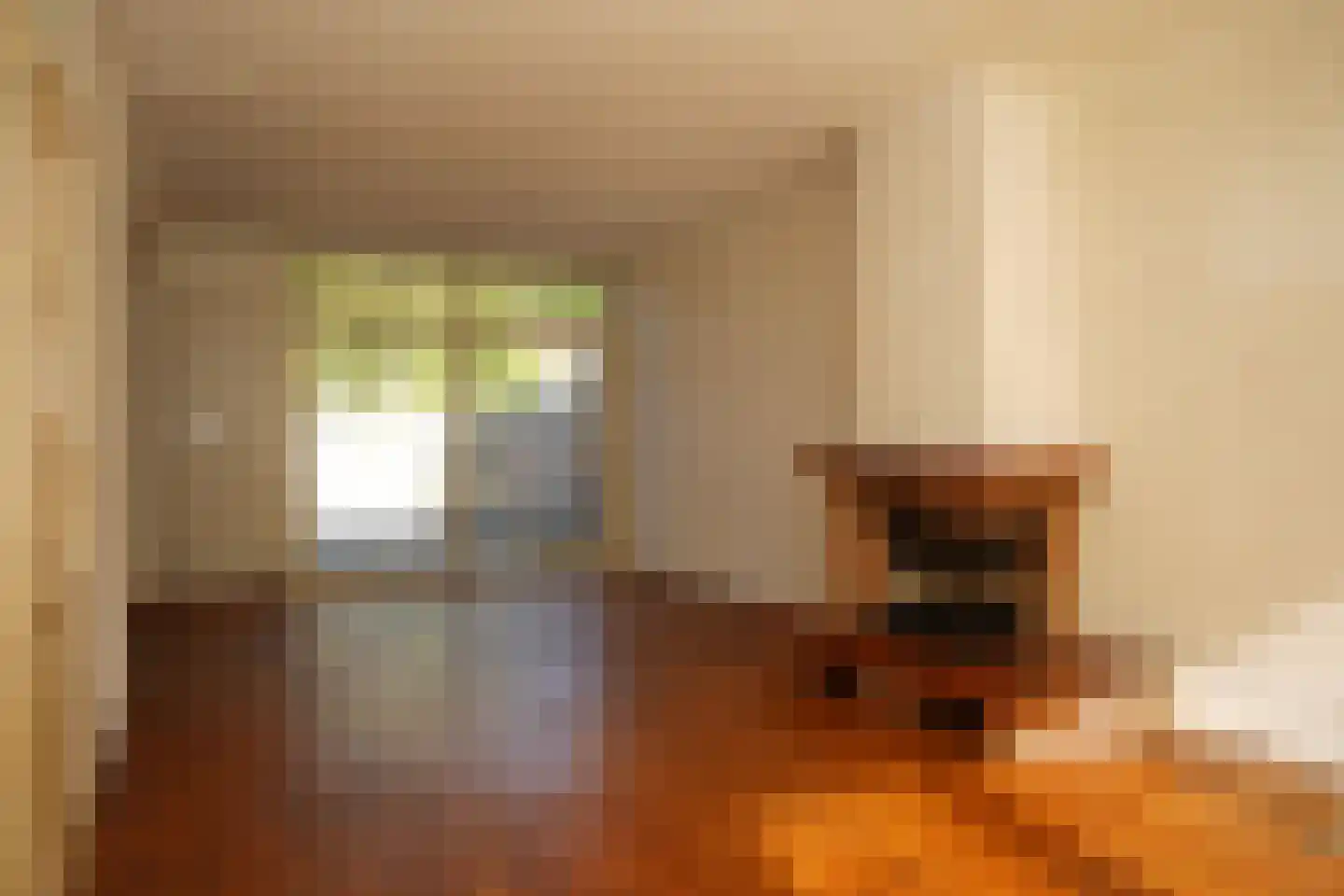 J.F. de Millianostraat 2 Breskens thumbnail 7
