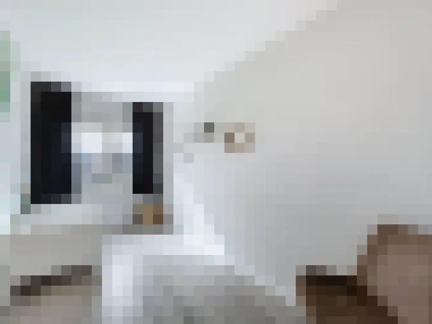 J.F. de Millianostraat 71 Breskens thumbnail 12