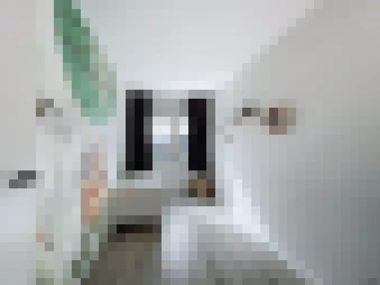 J.F. de Millianostraat 71 Breskens thumbnail 13