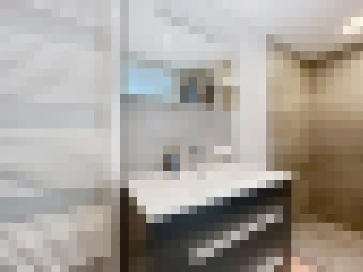 J.F. de Millianostraat 71 Breskens thumbnail 15