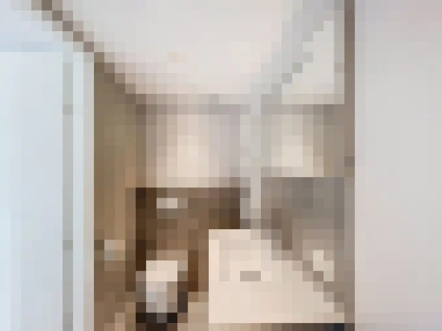 J.F. de Millianostraat 71 Breskens thumbnail 16