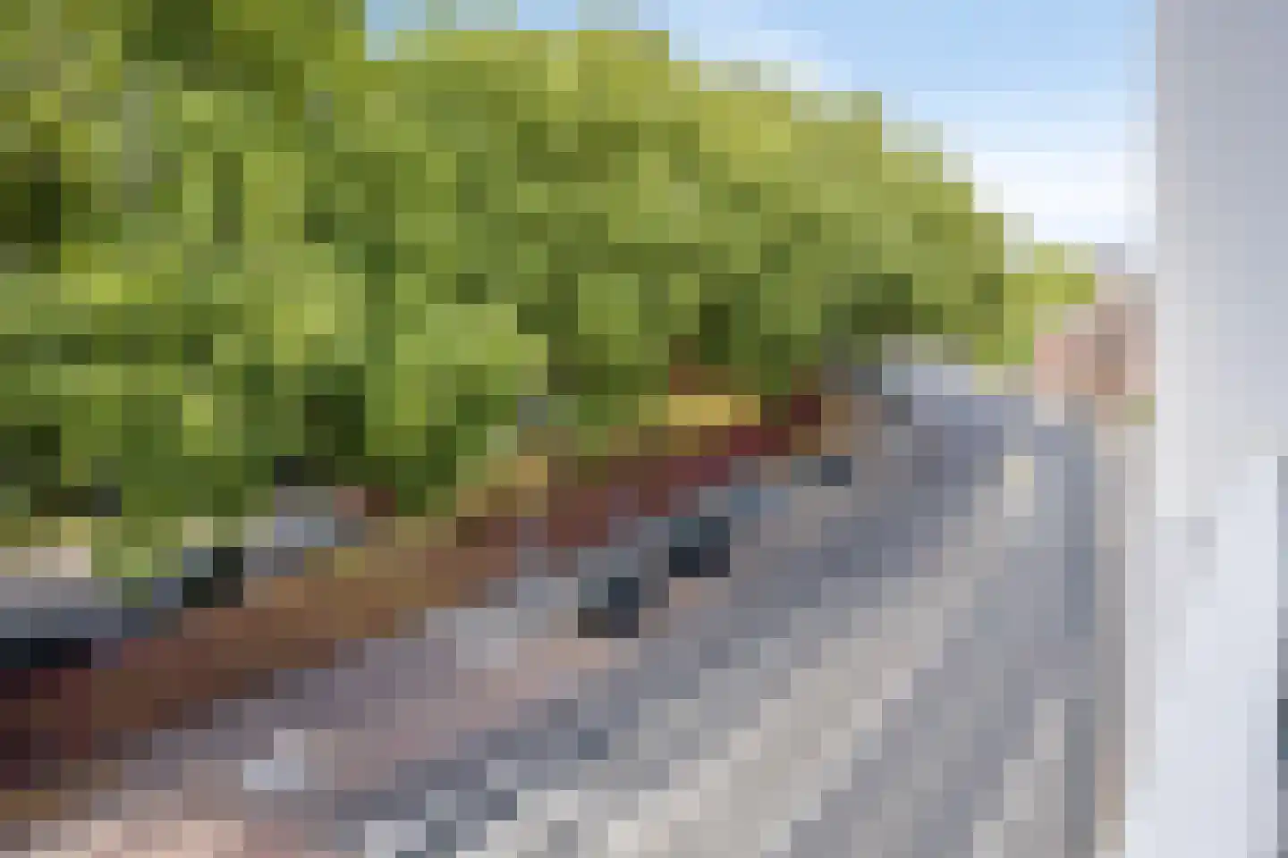 J.F. Kennedylaan 10 C Breda thumbnail 5