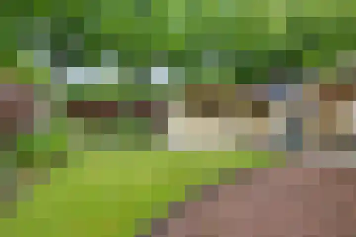 J F Kennedylaan 10 Uithuizen thumbnail 33