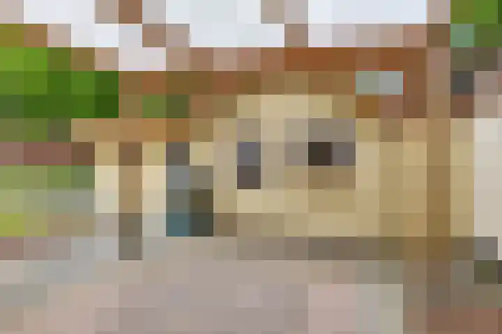 J F Kennedylaan 10 Uithuizen thumbnail 34