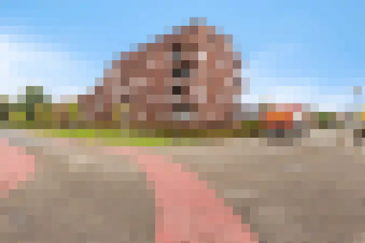 J F Kennedylaan 114 Uithuizen thumbnail 47