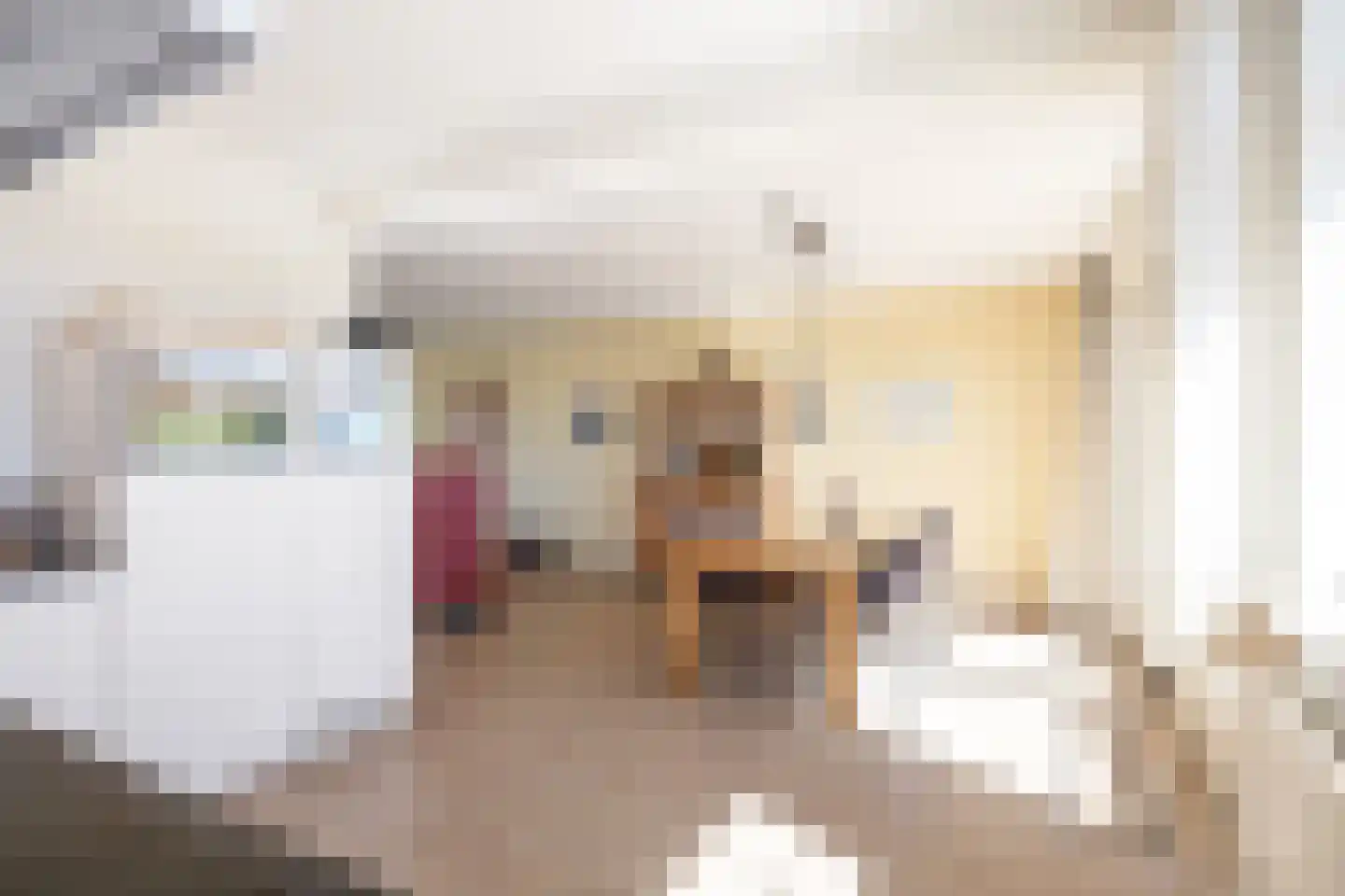 J F Kennedylaan 15 Uithuizen thumbnail 12