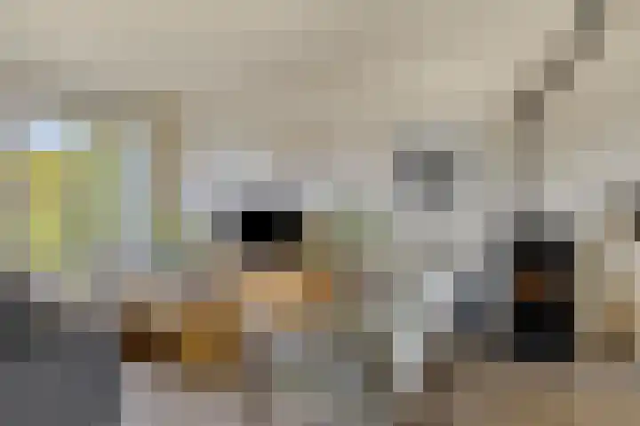 J F Kennedylaan 17 Uithuizen thumbnail 12