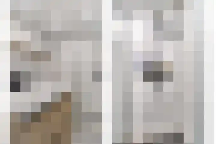 J F Kennedylaan 17 Uithuizen thumbnail 22
