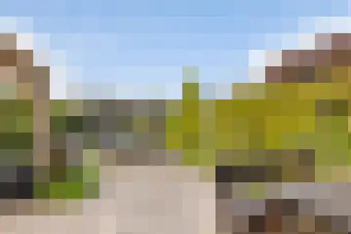 J F Kennedylaan 17 Uithuizen thumbnail 30