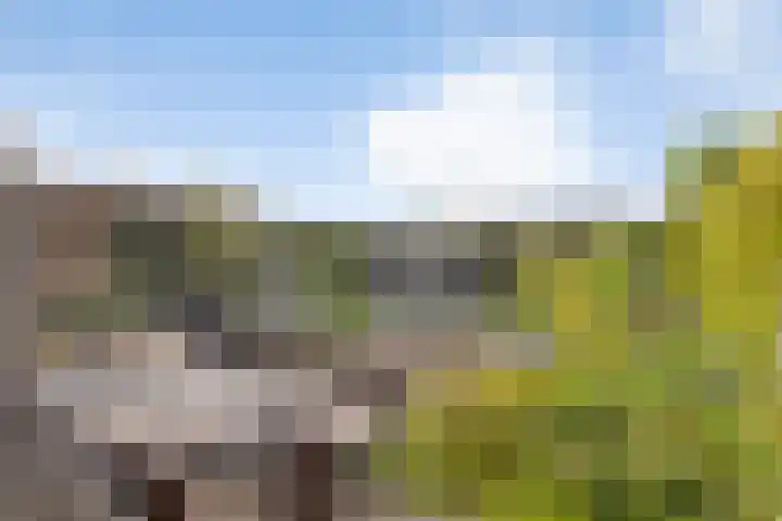 J F Kennedylaan 17 Uithuizen thumbnail 31